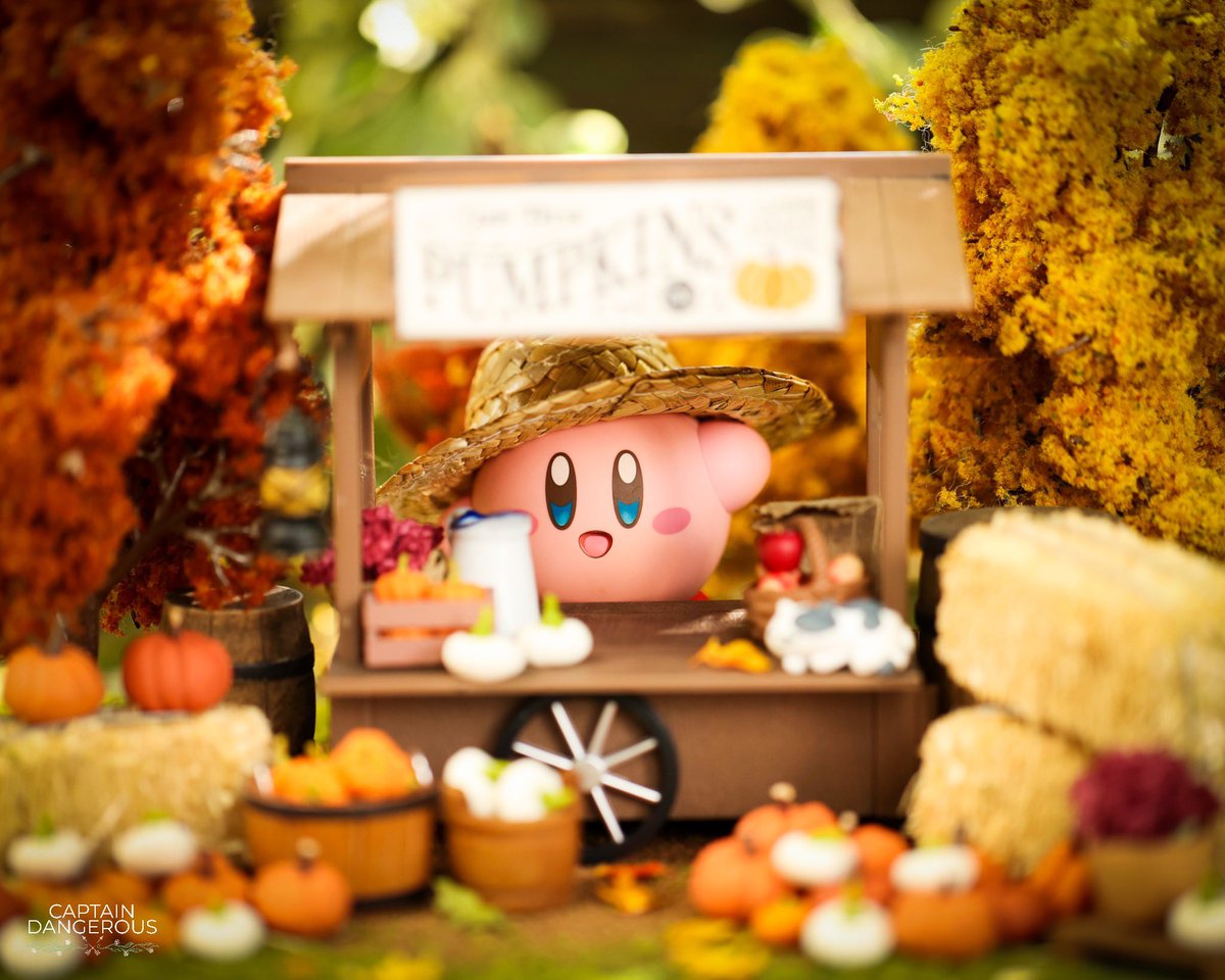 CaptDangerous64's tweet photo. Kirbyโs pumpkin stall ๐๐ #kirby #fall @KirbyInformer https://t.co/YXIeKzk9SU