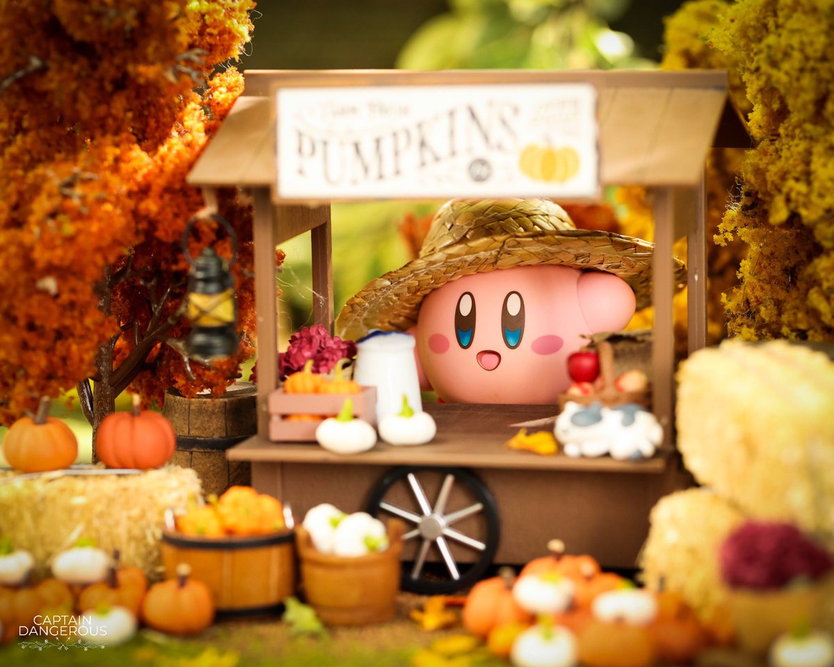 CaptDangerous64's tweet photo. Kirbyโs pumpkin stall ๐๐ #kirby #fall @KirbyInformer https://t.co/YXIeKzk9SU