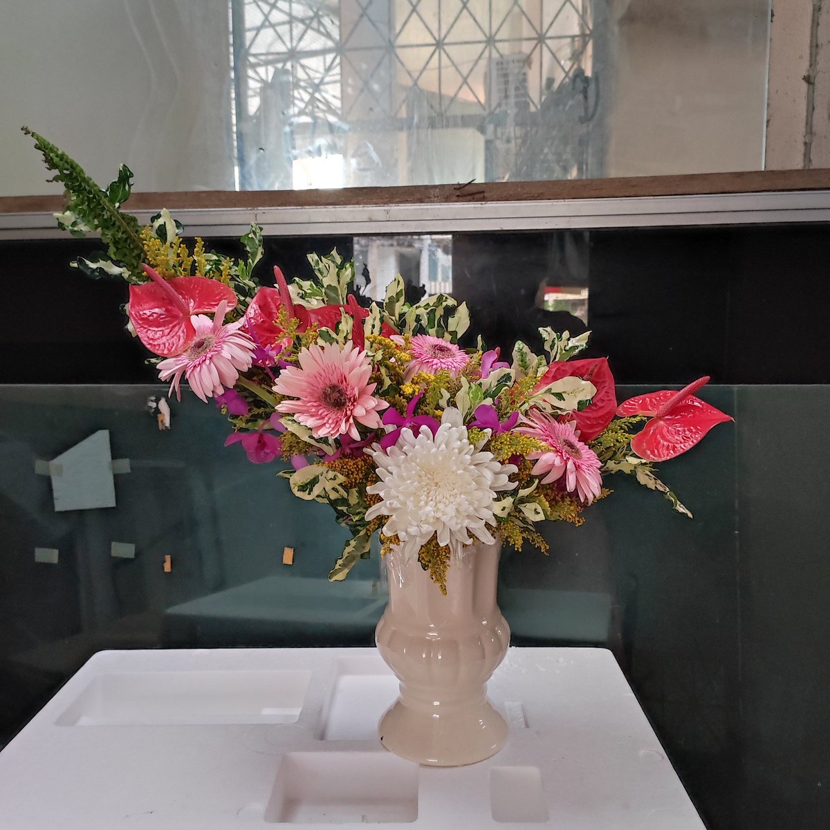 KhinLaPyaePhyo1's tweet photo. ❤️❤️❤️❤️🌿🌸 https://t.co/Lq85IvVqcB