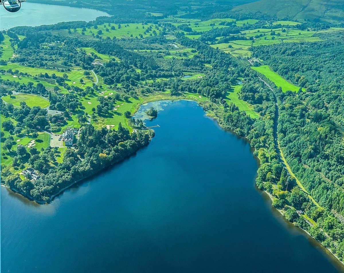 William Devine tweet media