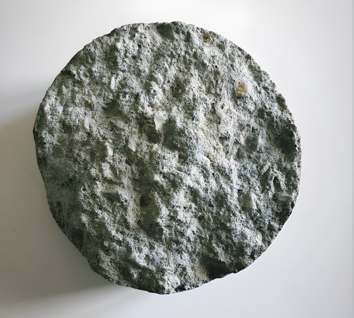 theseusdevelop's tweet photo. We believe Geopolymer concrete will accelerate the transition to a green built environment. 

#ACIC #AYCA2023 #AfricaClimateSummit https://t.co/96uqKGNQyH