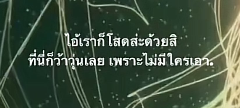 ต้อกต่อกให้อะไรกับเรา
