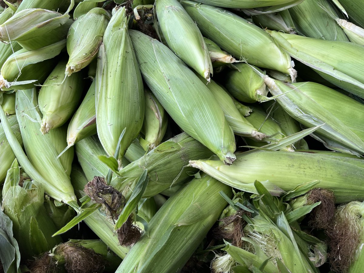 WalFarmMkt's tweet image. 