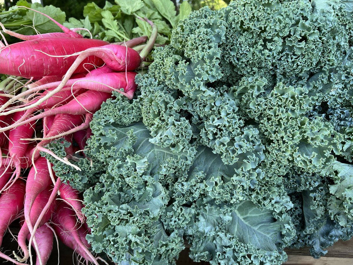 WalFarmMkt's tweet image. 