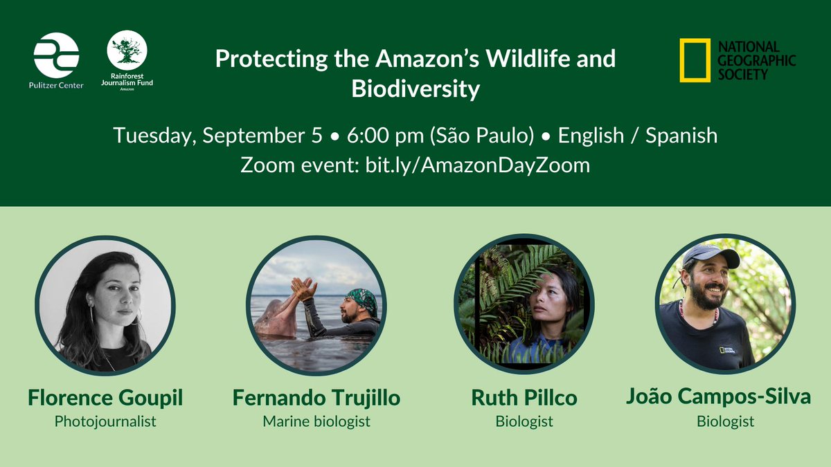 pulitzercenter's tweet image. Tuesday, September 5, is #AmazonDay and we are hosting a webinar with @Amazon_RJF, @Rainforest_RJF, and @NatGeo for journalists and researchers on how can they work together to preserve the Amazon’s wildlife and biodiversity. 

Register now! 
 👉bit.ly/3KZLsOn