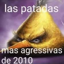 andrezzithu's tweet photo. @c4thaarsis Calou gótica 🤮 https://t.co/i37iYgFIv2