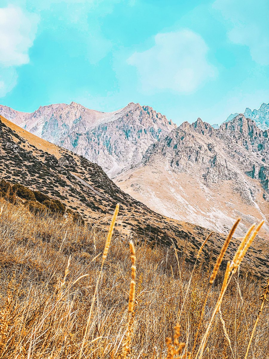 Sergey (@_ovsergey) on Twitter photo 