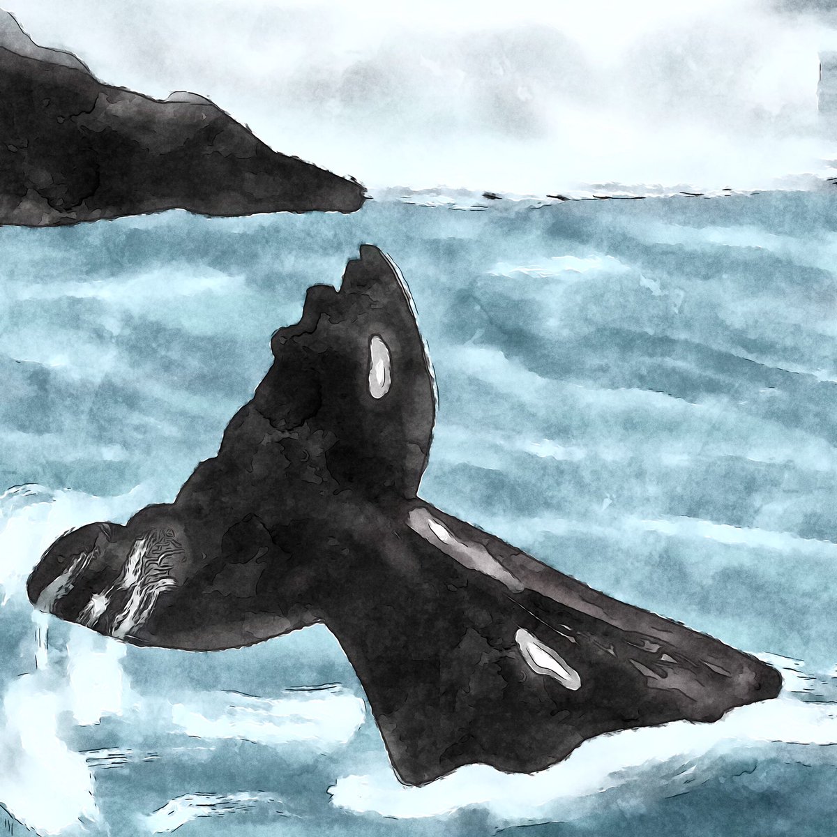 pruittwrites's tweet photo. #PruittWrites #ipainting #whale @ https://t.co/RdU9vfTZNb #art #digitalart #animalpainting #procreate #digitalartist #americanartist https://t.co/JTPL15HWR7