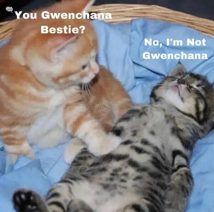 Joki_jinjk's tweet image. Casing hp estetik sampai random
#spill #casinghp #random #Jk #Starfield