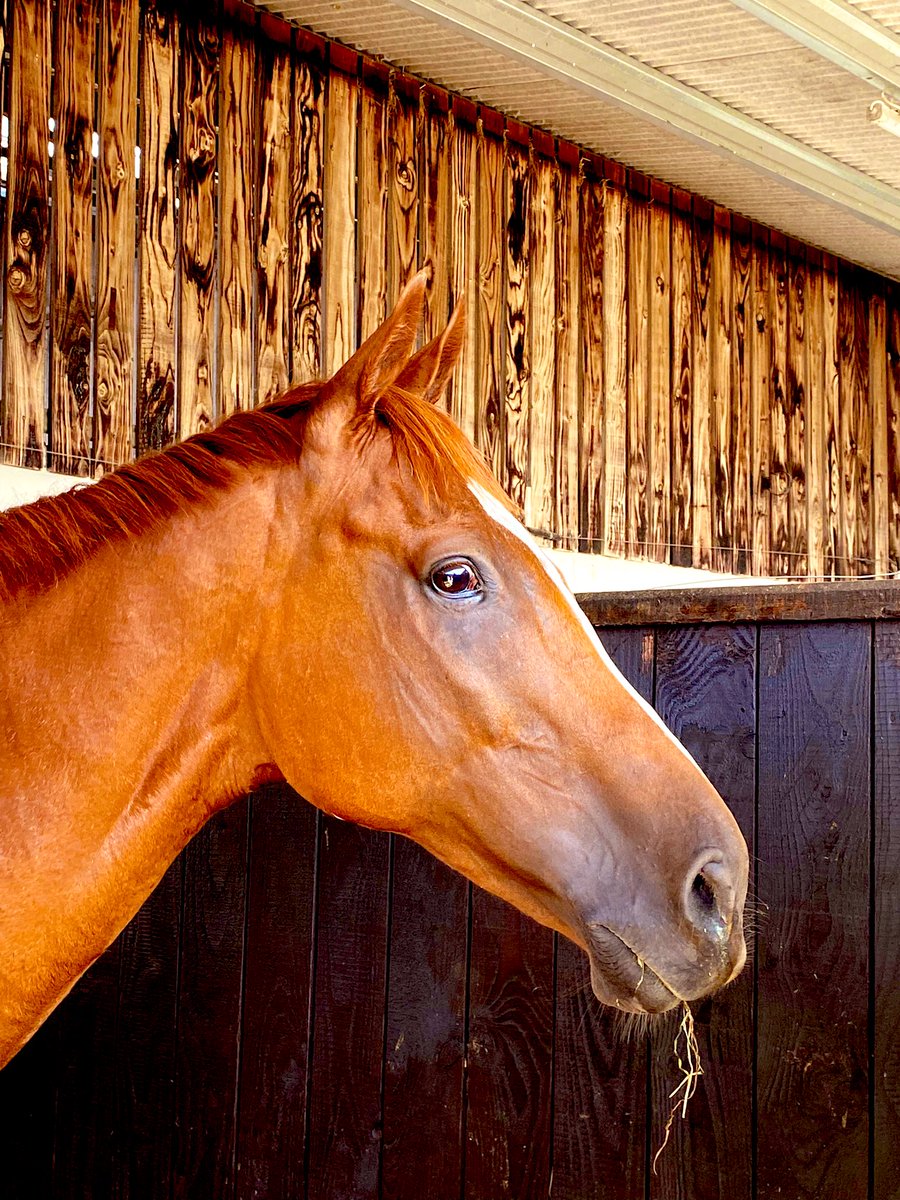 Dawnesme's tweet image. Still…. after all this time?

ALWAYS ✈️💛🙏

#samcro