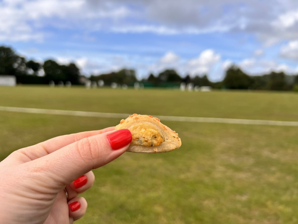 Hayley Stone tweet media