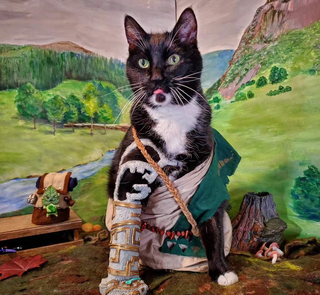 Cat_Cosplay's tweet photo. The Legend of Zelda: Bleps of the Kingdom

#Zelda #Caturday #TearsOfTheKingdom https://t.co/sMPeXfPQU7