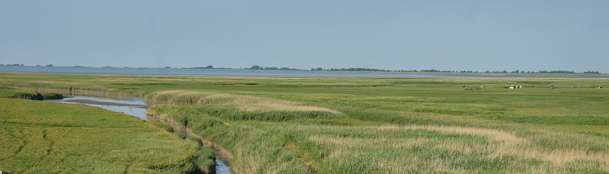 @OpenMonumentenDag  UNIEKE KANS 10 september: "Buitendijks wandelen in Werelderfgoed"! Adres: Carel Coenraadpolder 2, Finsterwolde. Start wandeling: 14.00 uur. U bent welkom vanaf 13.30 uur!!!