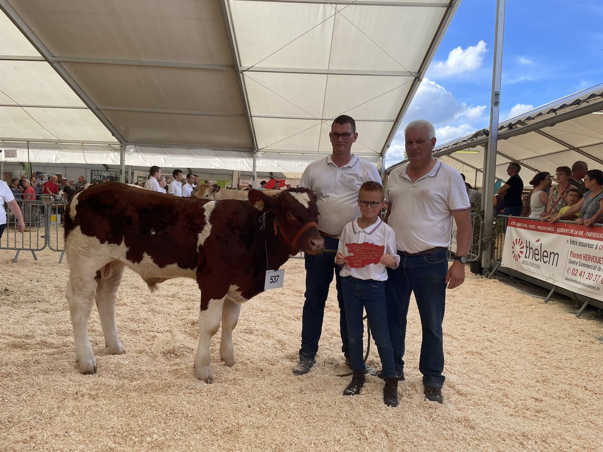 Urbain champion mâle jeune de l’élevage Douet <a href="/rougedespres/">ROUGEDESPRES</a>