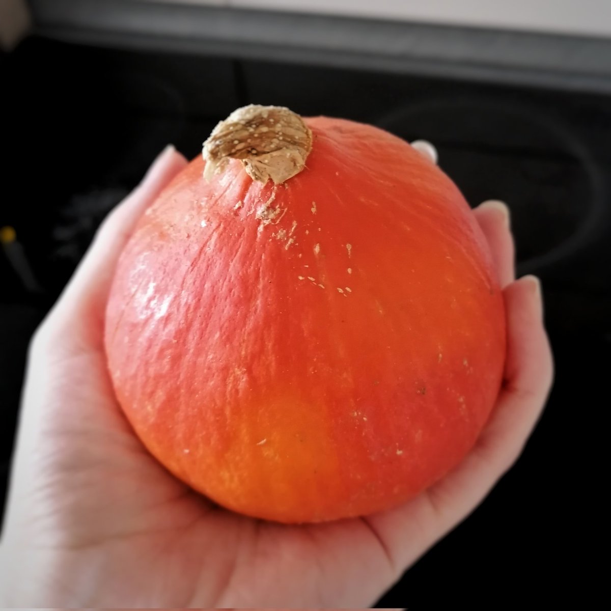 Ist denn schon KürbenSeason?
<a href="/QuasiMonoLP/">🤟 QUASI 🤟</a>, Herr der Kürben, was sagen Sie zu diesem kleinen pracht Kerlchen?