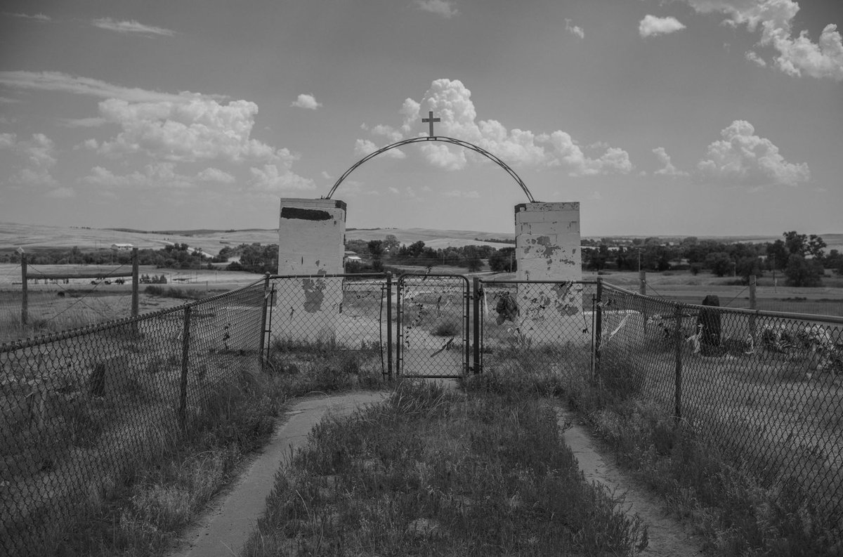 Emergence Magazine tweet media