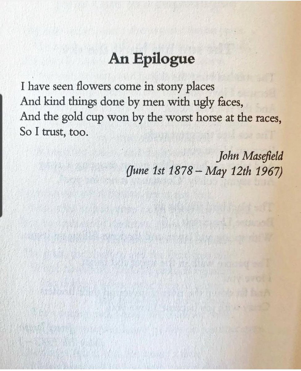 Kacey 🐢 tweet media