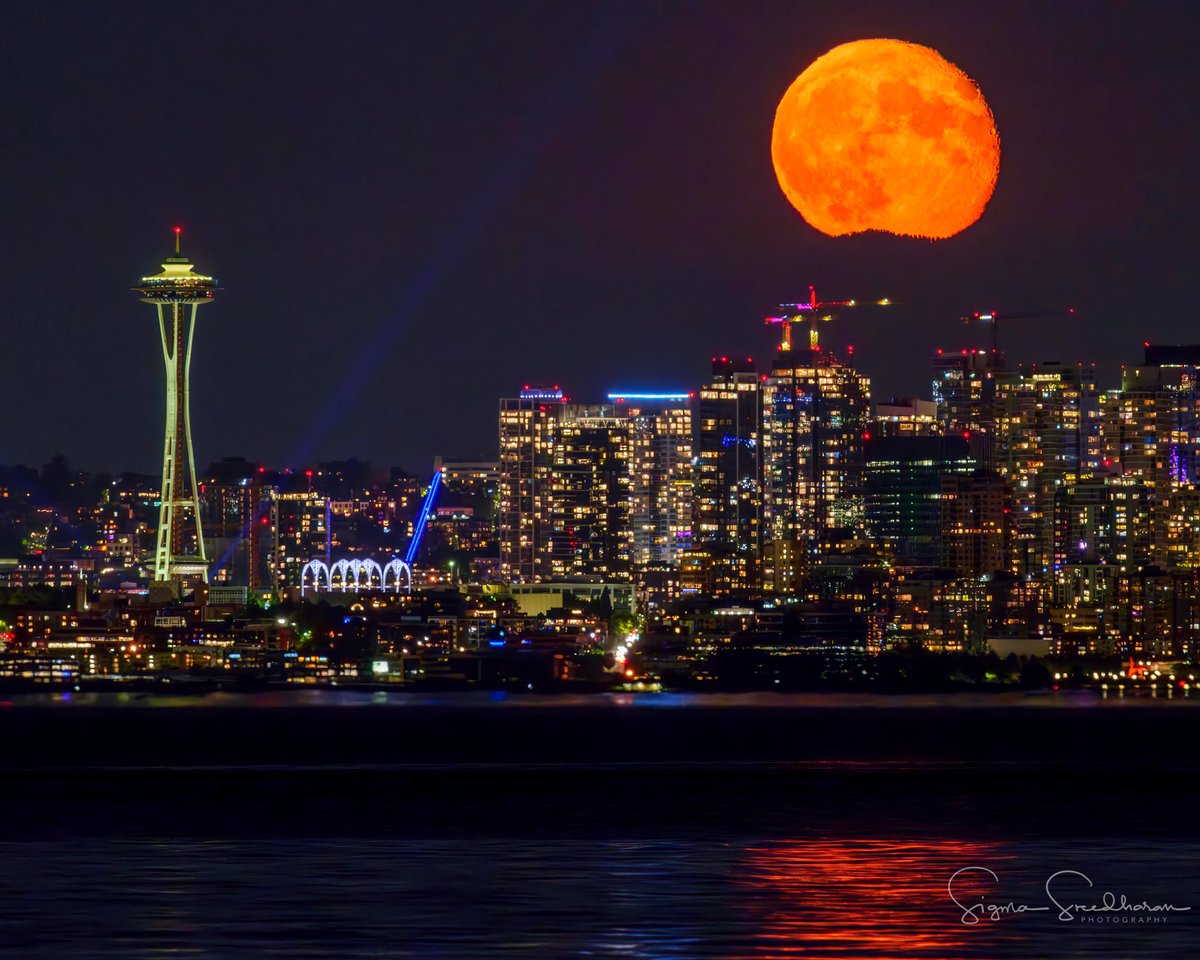 Sigma Sreedharan tweet media