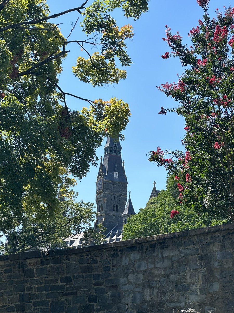 Career update:

I joined the Better Government Lab at McCourt School of Public Policy, Georgetown University as a post doctoral fellow this semester! 

Super excited for the next chapter :)