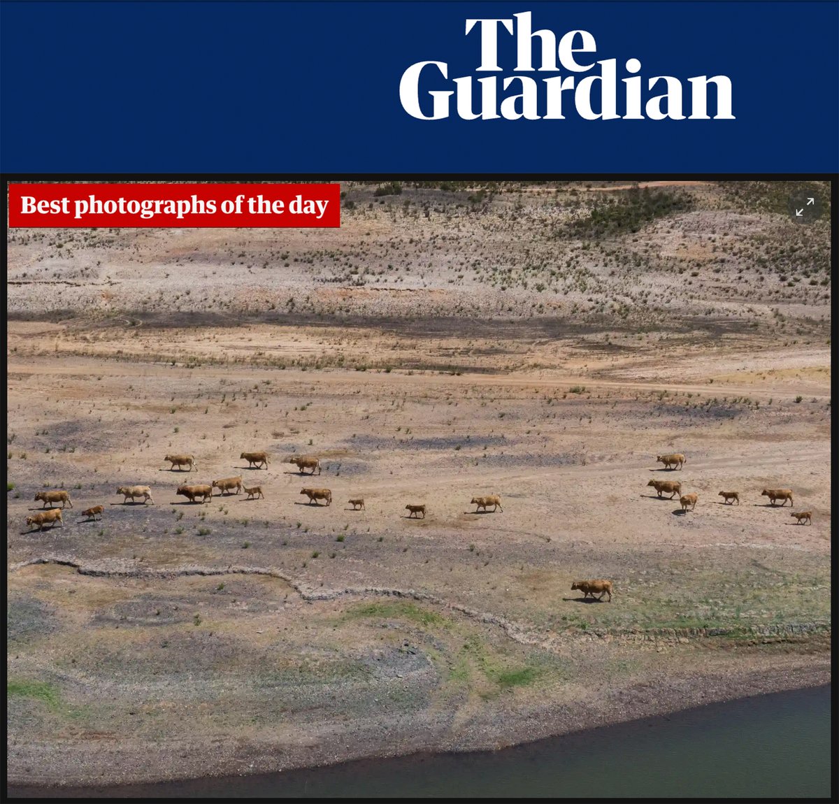 serapaaydin's tweet photo. Friday’s best photos https://t.co/jC0r2UB7Sc #SantiagodoCacem #Portugal #drought 

📸 Omar Marques @marquesomar1 @anadoluimages https://t.co/rpe6dNO3G2