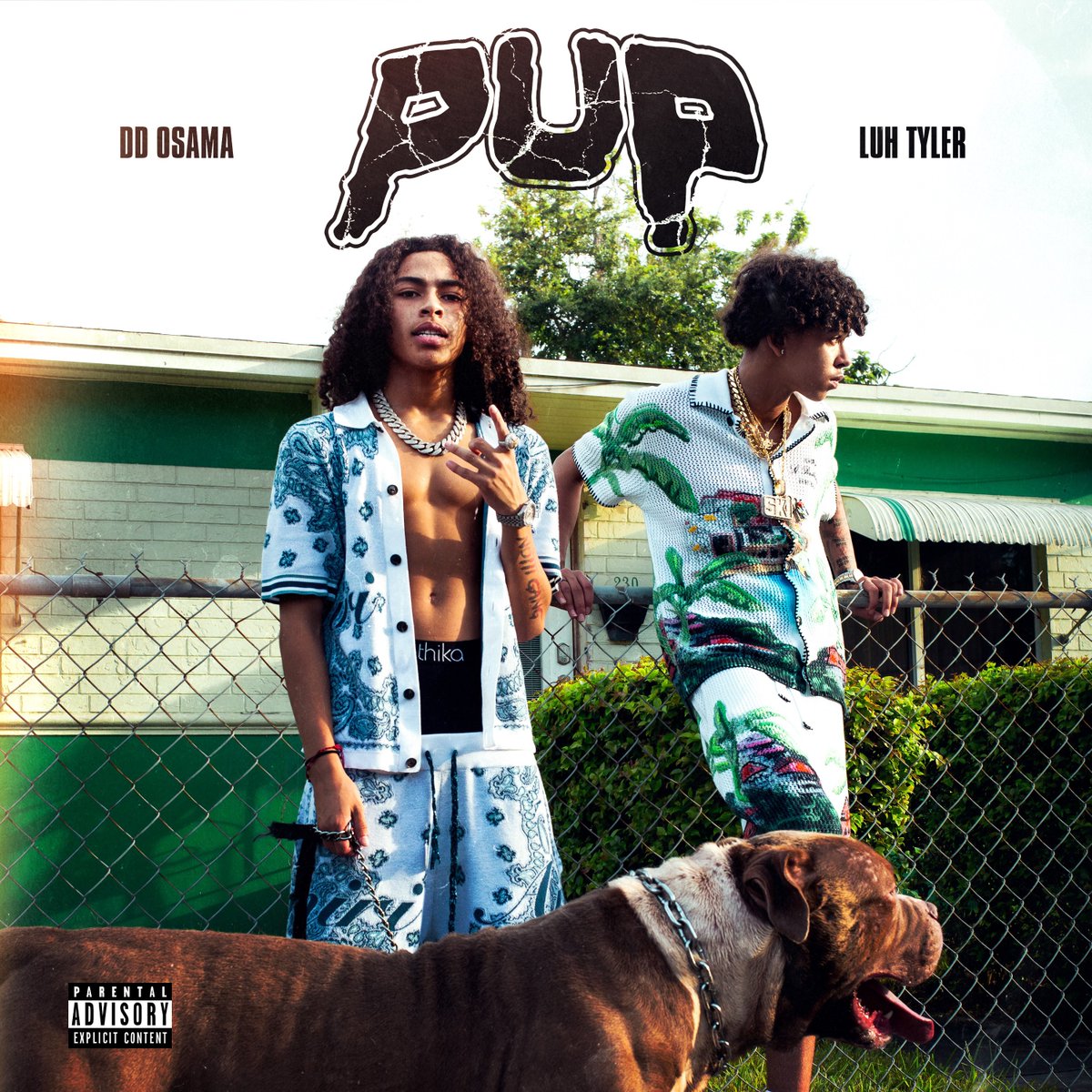 KeanesGallery's tweet photo. “Pup” unused single cover art for DD Osama &amp; Luh Tyler with @rabovisuals https://t.co/3V1lO9EO41