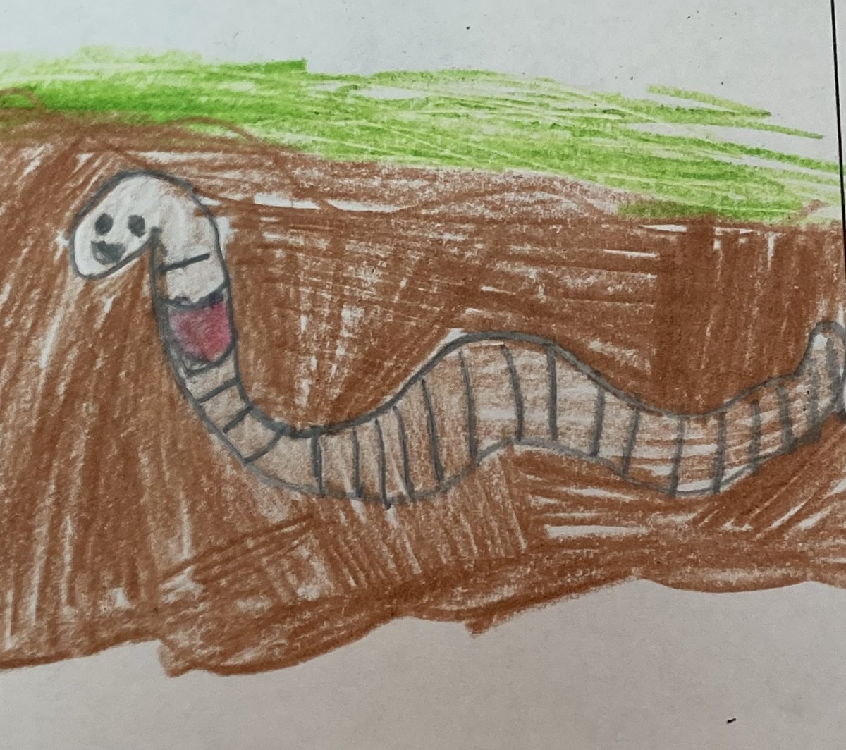 Learning about the worms in our worm bin! #Klee #WeAreMG #STEAM