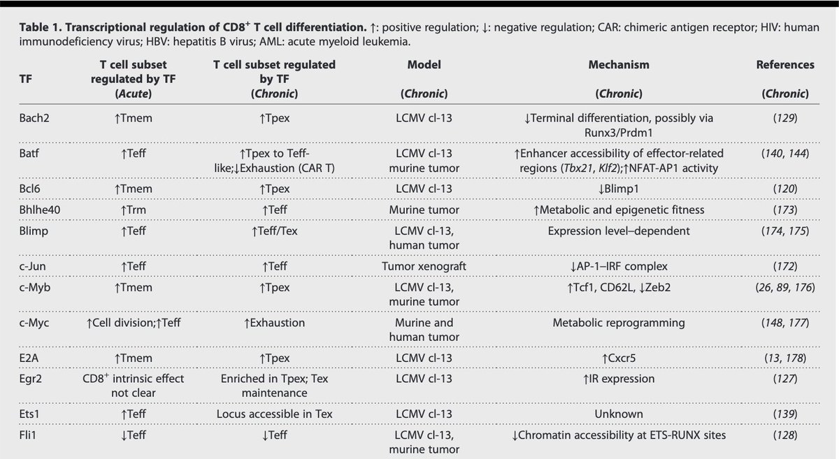 Xin Lan👩🏻🔬 tweet media