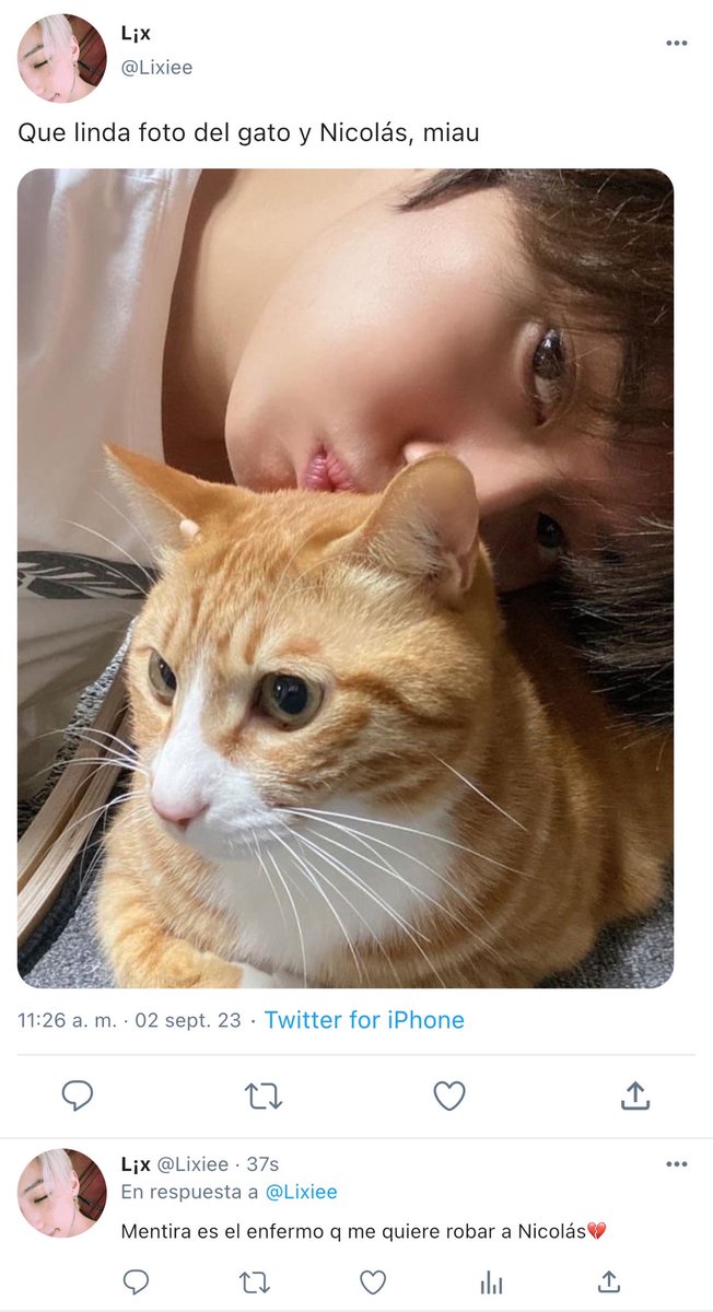 baelixx's tweet photo. Devuélveme a mi gato ~ au minlix

Fe|ix luego de una joda borracho “adoptó” a un gato q se encontró por ahí sin imaginarse q más adelante tendría problemas con su supuesto dueño. https://t.co/rEEvf1kNi9