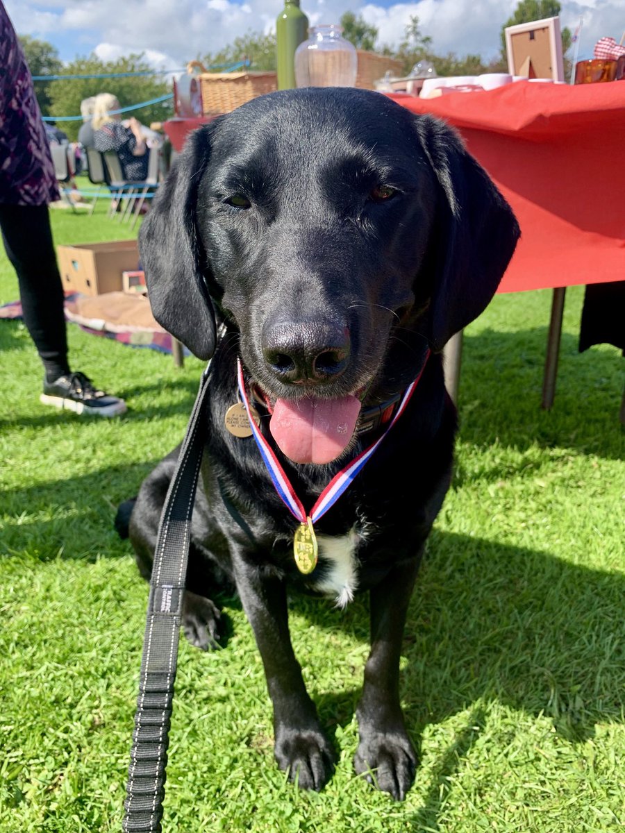 Alison Hume MP tweet media