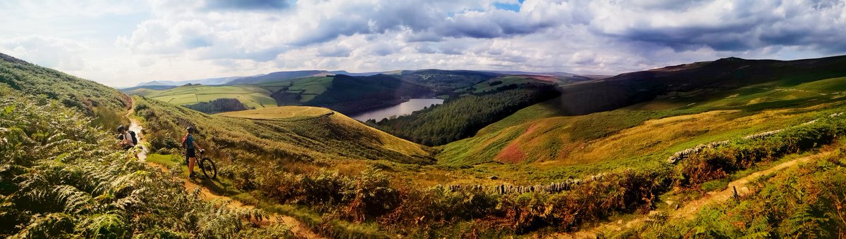 Trail Advantage - MTB Coaching and Guiding tweet media