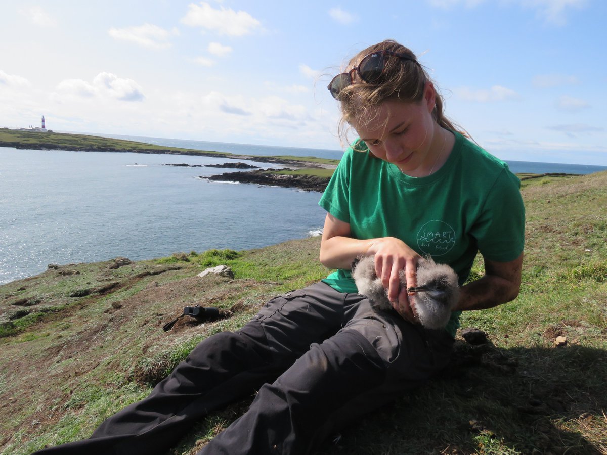 Thanks to @_BTO #BTOYouth and the Young Bird Observatory Volunteers programme I have just had the most amazing week at @bardseyobs. This opportunity has helped me as a trainee ringer and given me valuable volunteering experience. Find out more at bto.org/ybov