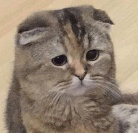 Moonsinrivers's tweet photo. Cat face theory Miku pt. 6 https://t.co/g4C7UPckpo