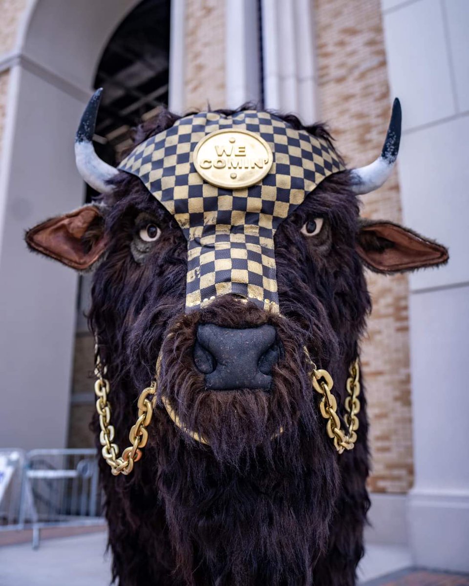 Jasonamcnulty's tweet photo. We ain't coming......WE ARE HERE! @CUBuffsFootball @zacstevens https://t.co/rZpqy0oL6n
