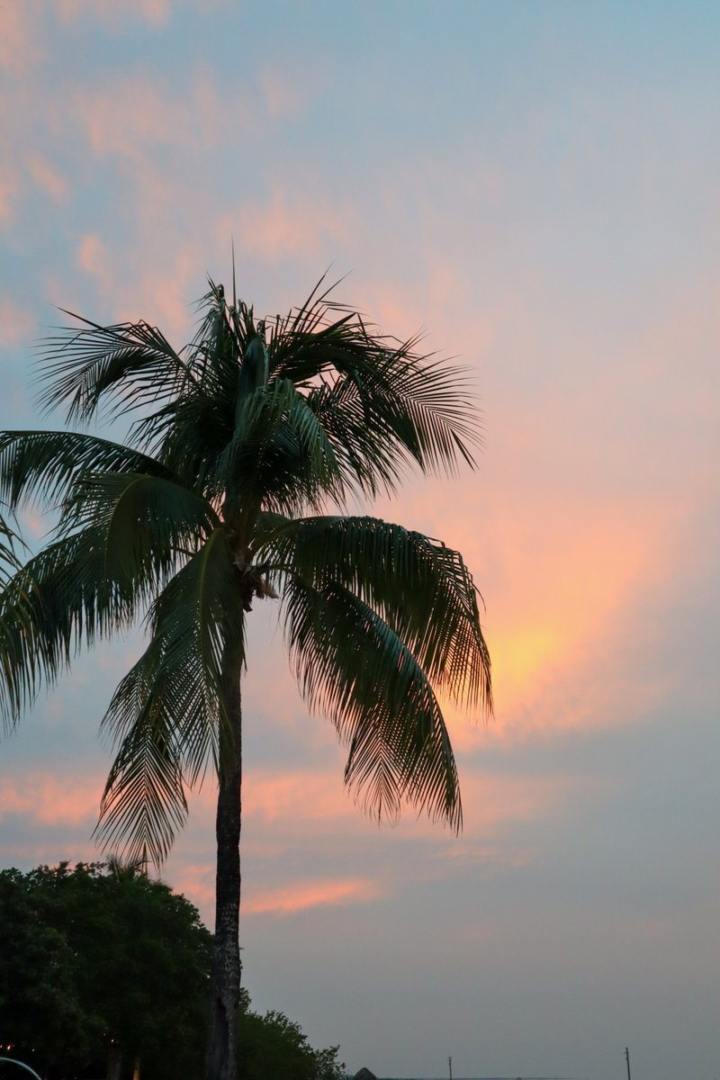 Sunrise wellness smoothies, tantalizing organic cuisine, sunset Vinyasa Yoga overlooking the sparkling bay... all sounds good, doesn't it?! Join us for our first ever ReFLEXions weekend on September 15th-16th. 

Book here: …flexionsatplayalargo.offeringtree.com