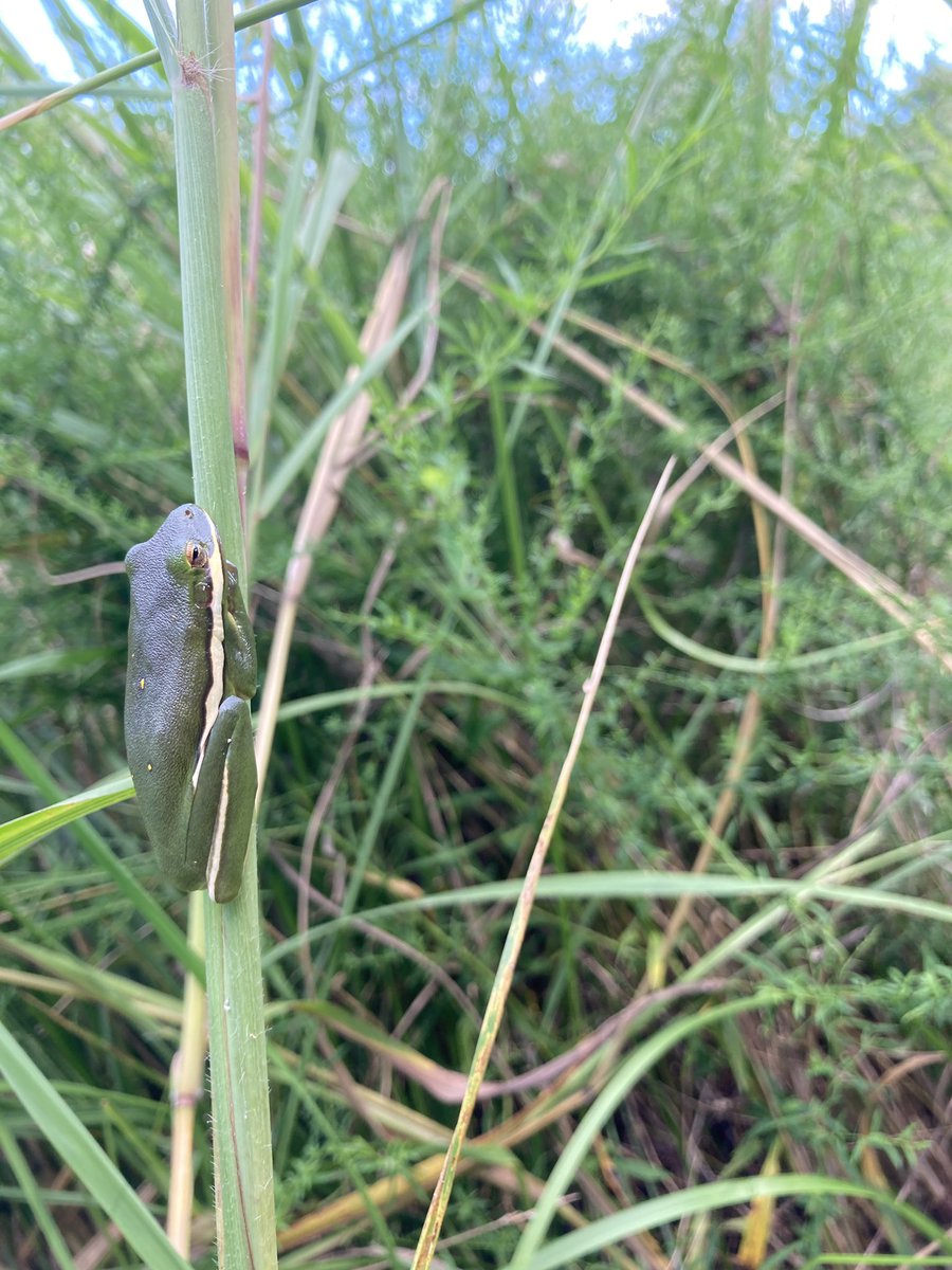 Yonder Farm tweet media