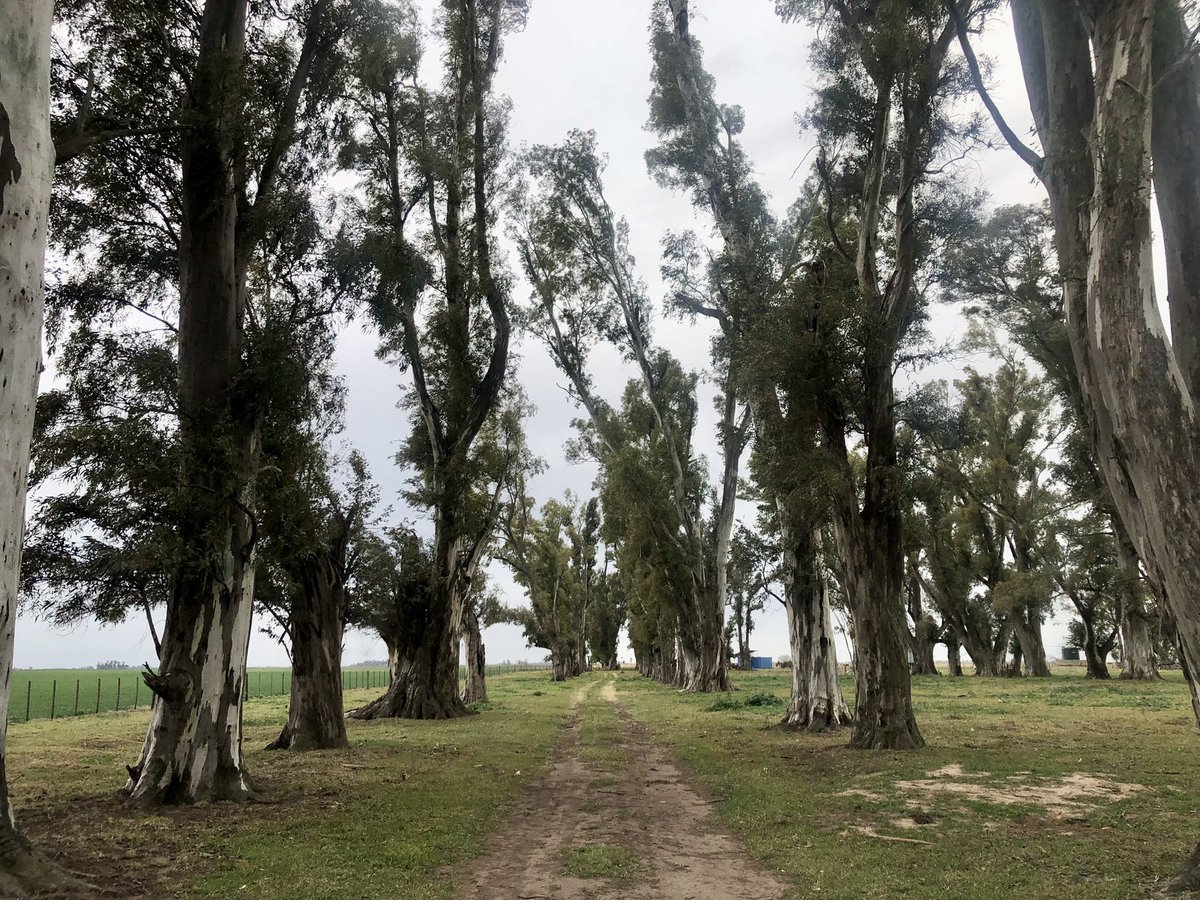 lacerdapunk_'s tweet photo. Alto plan salir a las 9am de un sábado con el mate a la ruta sin rumbo. Ya esto es vida de jubilados. https://t.co/mfj43HsIok