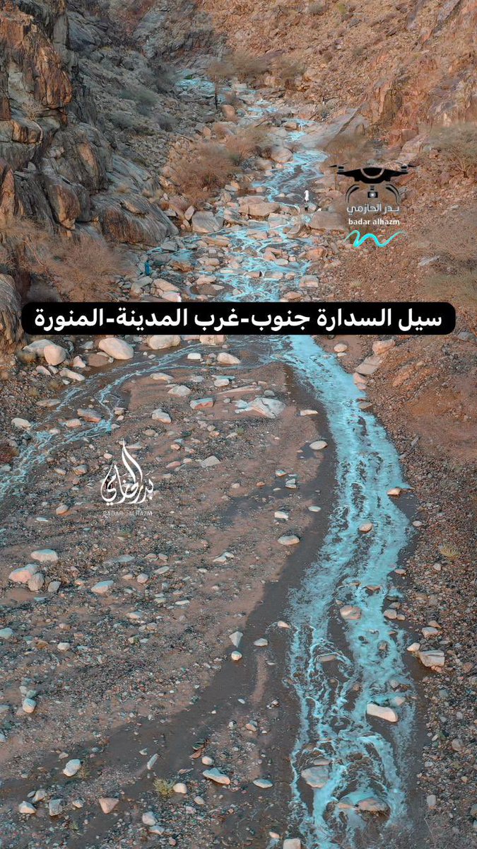بدر الحازمي الحربي | Badar Alhazmi tweet media