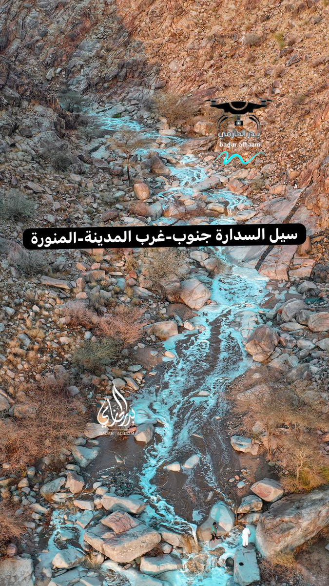بدر الحازمي الحربي | Badar Alhazmi tweet media