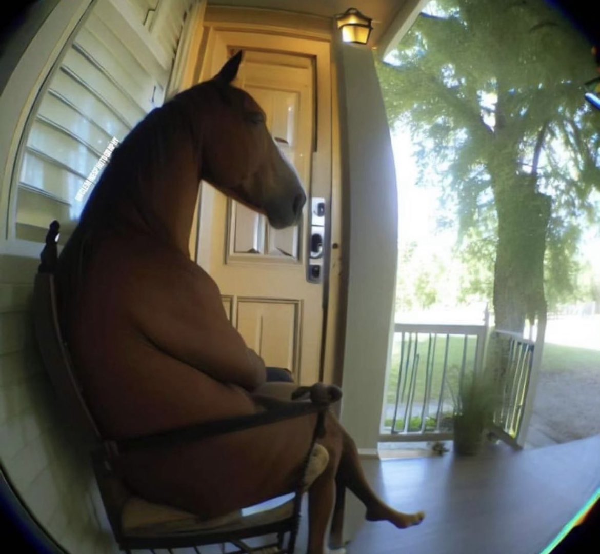 tokidokigirl_'s tweet image. me just horsing around