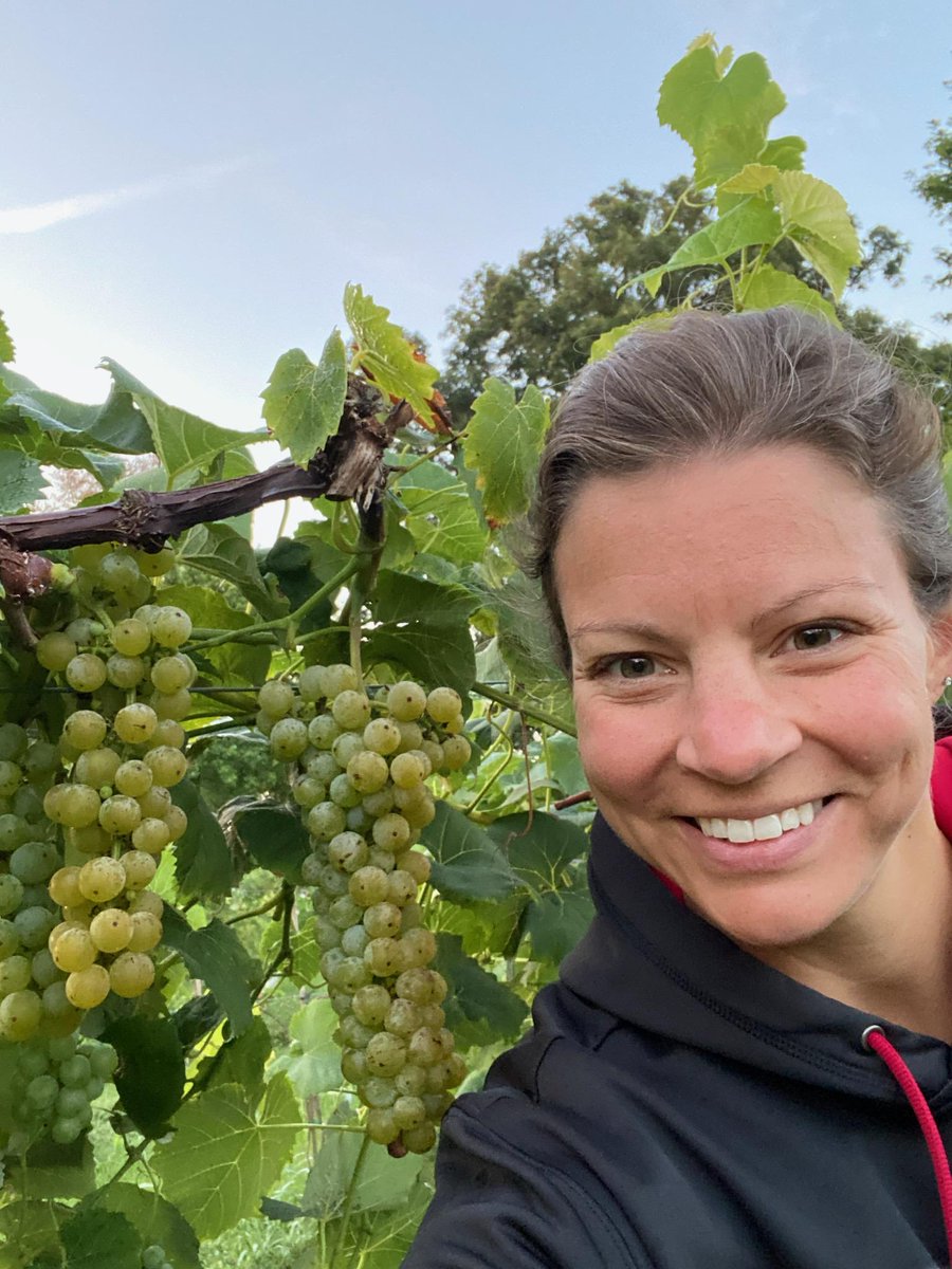 Matthew Elsass tweet media