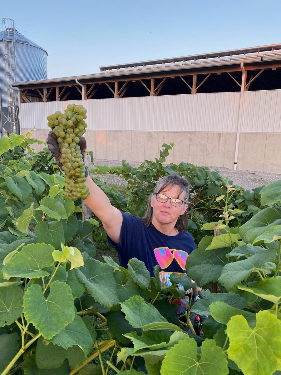 Matthew Elsass tweet media