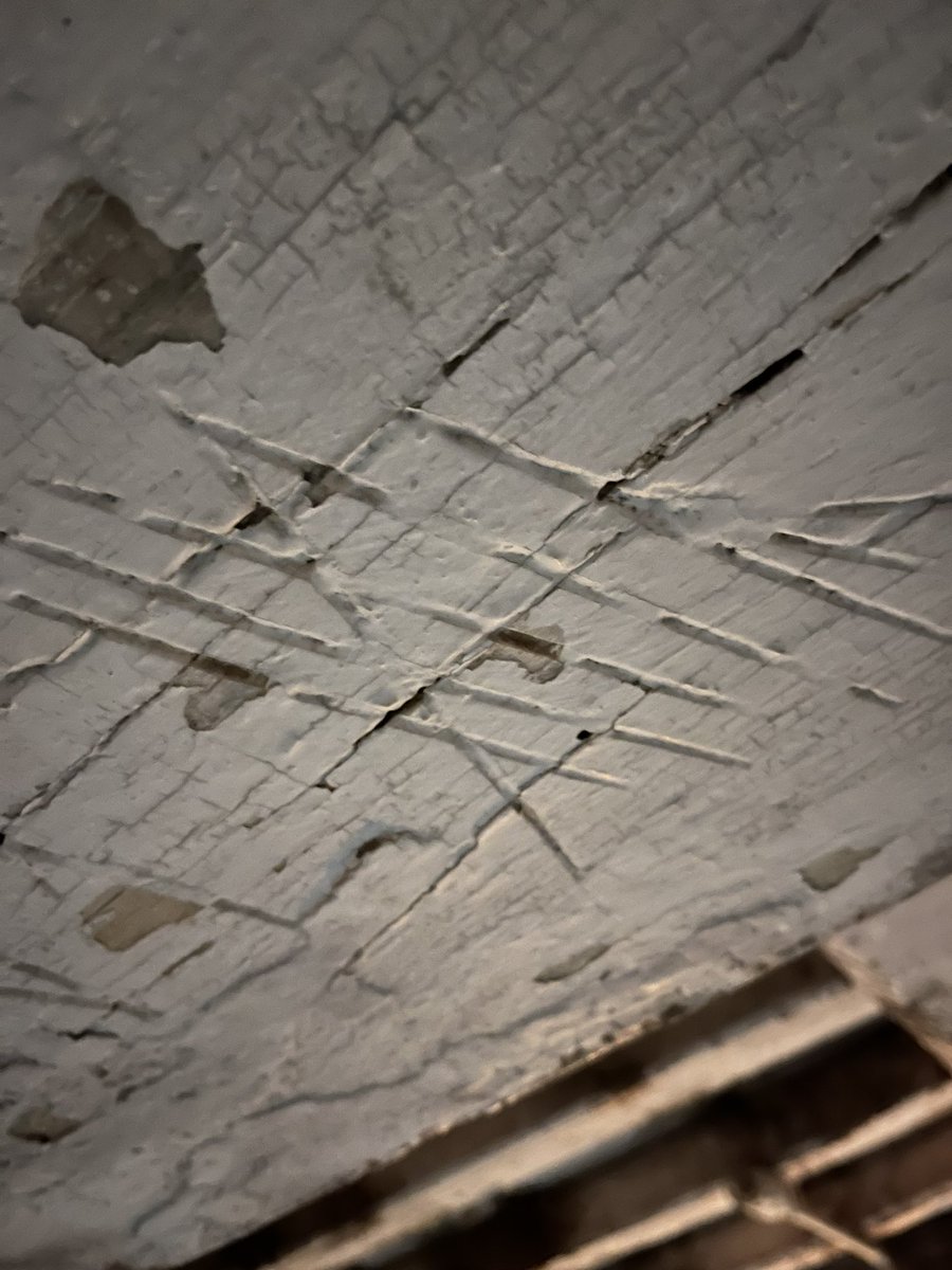 Alexandra Churchill ✌🏼⭐️⭐️ tweet media