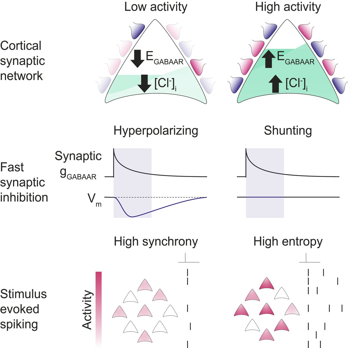 Richard Burman tweet media