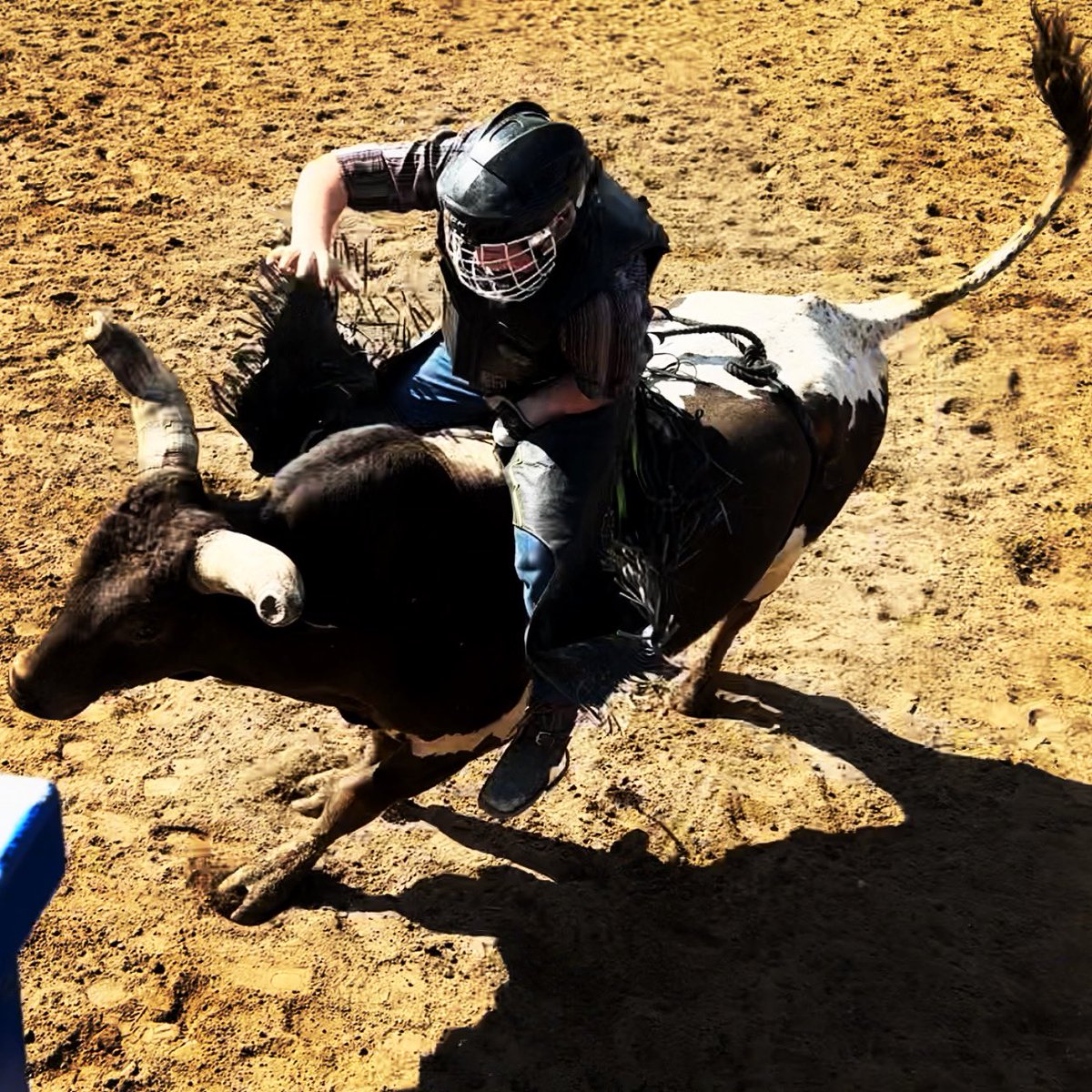 moorebullriding's tweet photo. Get busy livin’! Madison Taphouse Casa Agave @robmoorelaw @patch_ops Stropkey Nurseries Inc. Mike Brown Customs  Judith Stricker - White @KarenSuttman Johnny Law Canter Western Pennsylvania Youth Rodeo Association #rollrobbie #roughstockrobbie https://t.co/8b6k4IqPTb