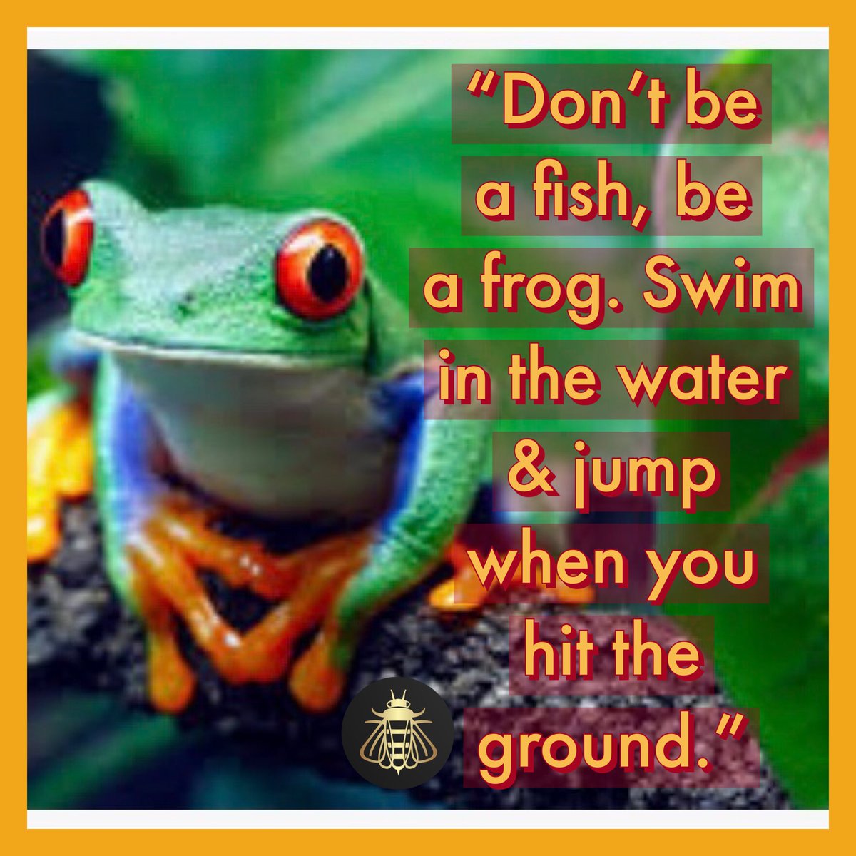 THE FROG 🐸 @BladeRocco @2d7ba3001f664c9 @Bagel69er 🐸💦 @1GaryBernstein @TJDOGMANR2 @45mx_7 🐸💦 @thatgirlSeth @USA2224 @Buck__Nekked__ 🐸💦 @jersey_some @Tgodbey75 @MadDraX97 🐸💦 @Evangelic4Trump @Ace69691976 @NancyMar2022 🐸💦 @FerreedomREIGN @1mir_r @TwinsBus 🐸💦…