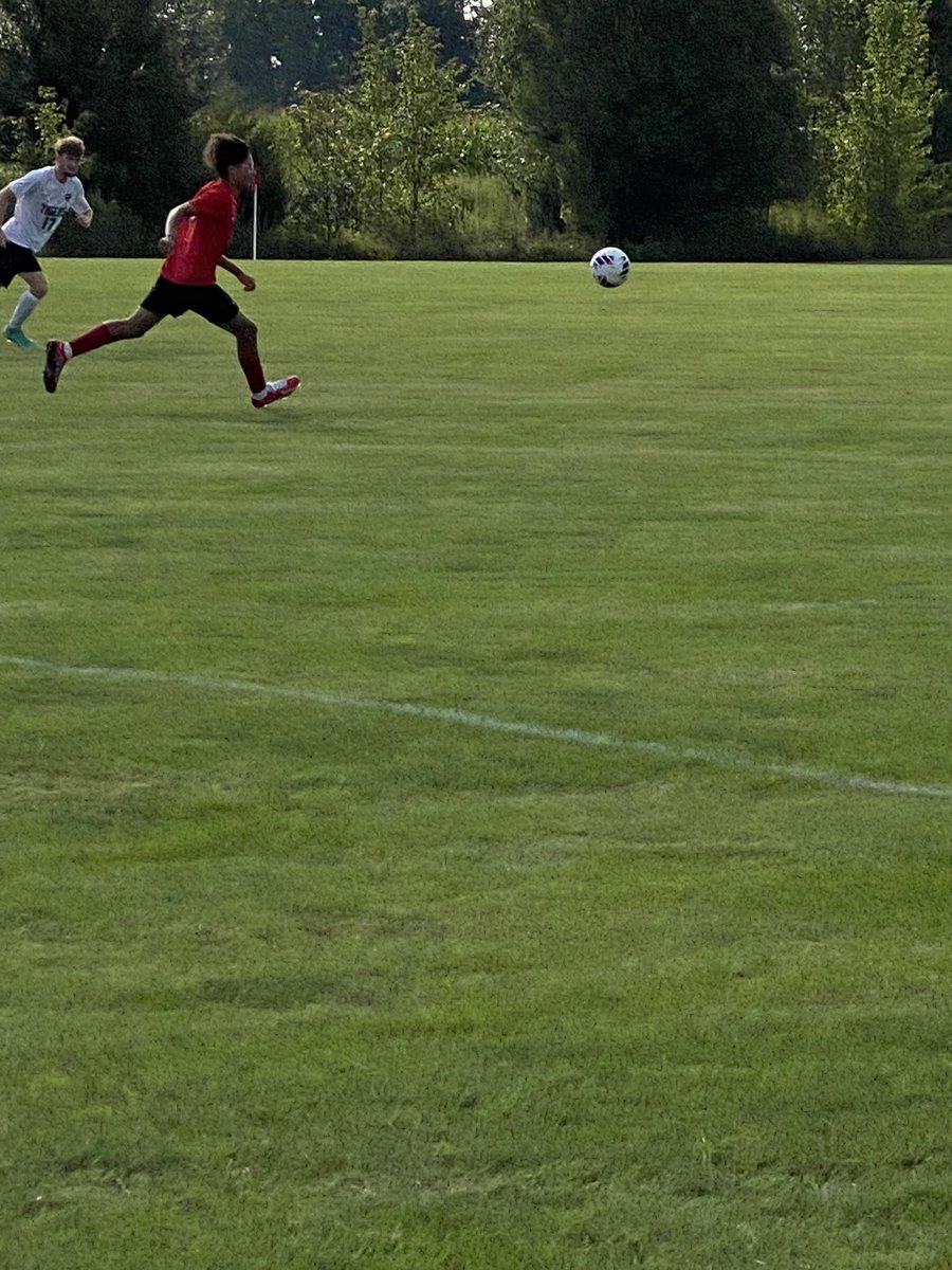 Liberty Lions tweet media