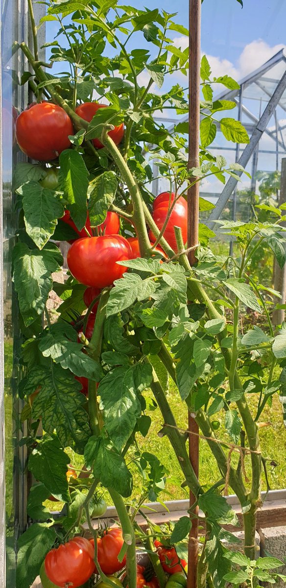 Plot16c2 tweet picture