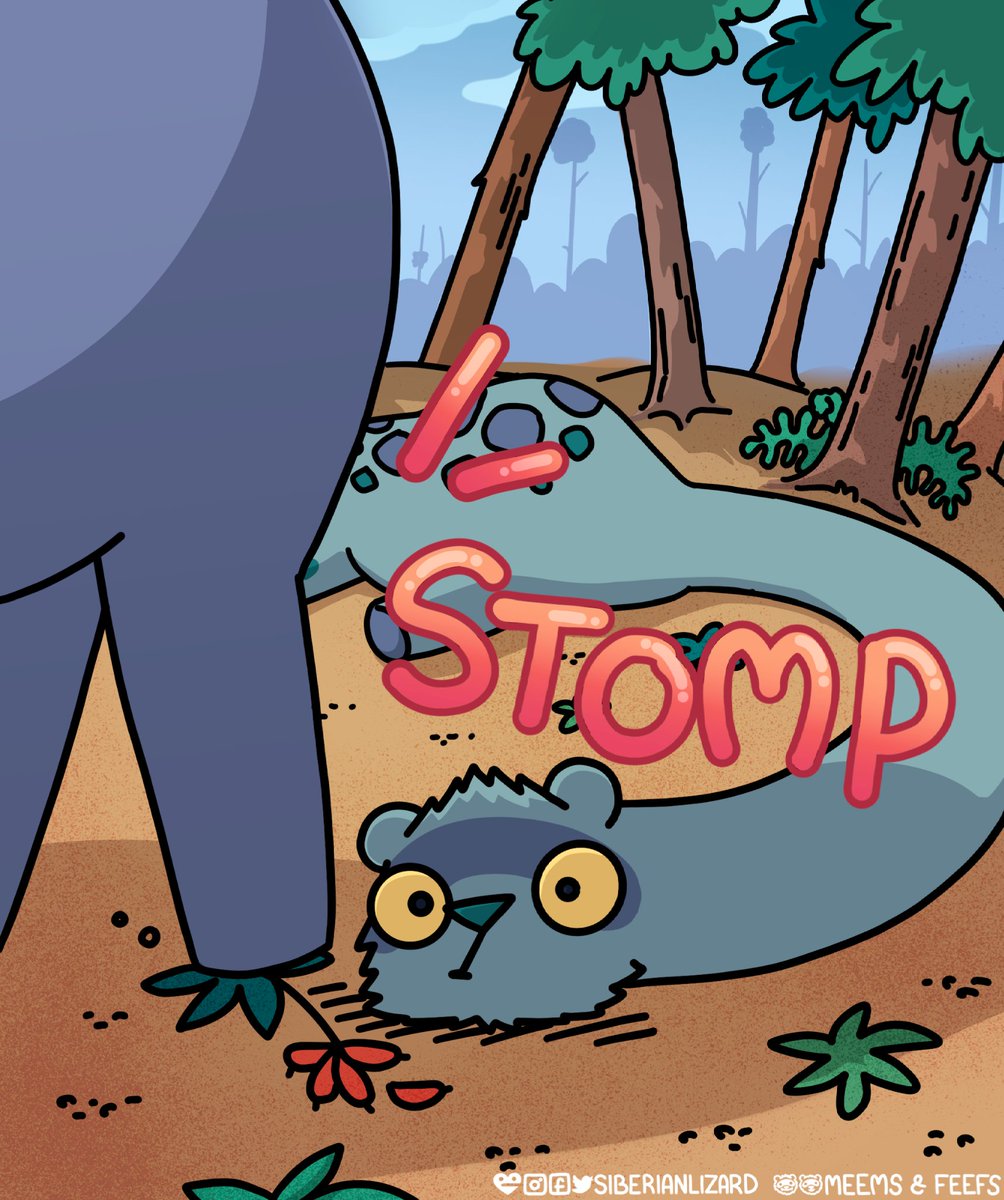 siberianlizard's tweet photo. Finding friends is hard, but Feefs will always find a way? no matter the size 🤍
.
.
#ferrets #comics #ferret #comicstrip #meemsandfeefs #dino #ferresaurs #feefs #frends #bigfrends https://t.co/KnC0IFswTw