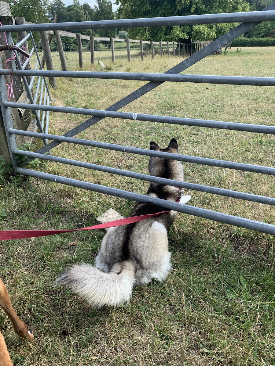 Kate Nash tweet media