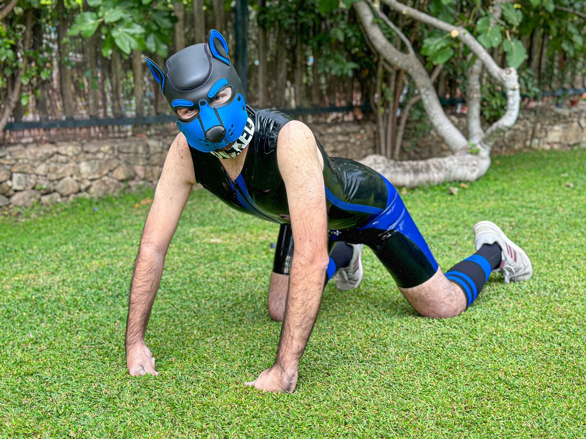 Blacky4885's tweet photo. Your loyal rubber guard dog 🐶
📸 @PupGolfo https://t.co/q084nbU8od